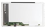 Dell LCD Display 15,6 Inch, PPCTF