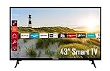 Telefunken XF43K550 43 Zoll Fernseher / Smart TV (Full HD, HDR, Triple-Tuner) - 6 Monate HD+ inklusive…