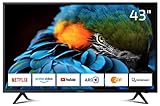 DYON Smart 43 XT 108 cm (43 Zoll) Fernseher (Full-HD Smart TV, HD Triple Tuner (DVB-C/-S2/-T2), Prime…
